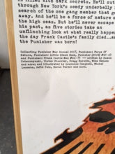 Afbeelding in Gallery-weergave laden, Punisher Max: The Complete Collection Vol. 5 (Omnibus)