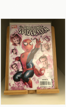 Afbeelding in Gallery-weergave laden, Amazing Spider-Man #605
